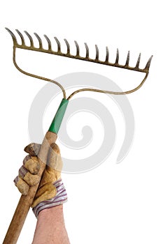 Gardener Holding a Garden Rake