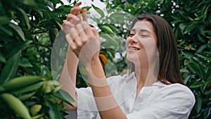 Gardener lady picking oranges in plantation closeup. Smiling girl tossing citrus
