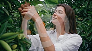 Gardener lady picking oranges in plantation closeup. Smiling girl tossing citrus