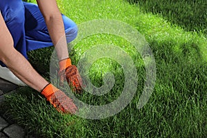 Gardener laying grass sod on backyard, closeup