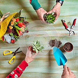 Gardener making terrarium