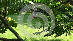 Gardener man with flip-flop shoes mow lawn. View through trees. 4K