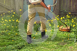 The gardener man mows the grass with yellow dandelions with a hand lawn mower. close up