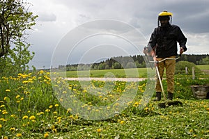The gardener man mows the grass with yellow dandelions with a hand lawn mower. close up trimmer, selective focus