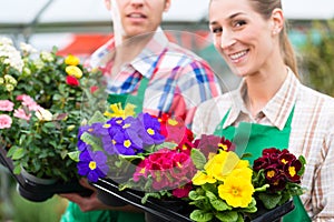 Gardener in market garden or nursery