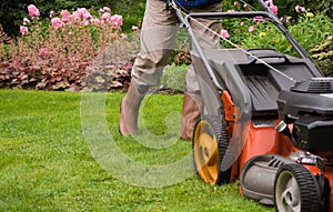 Gardener mowing the lawn. photo