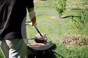 Gardener mows the lawn in the garden with a lawn mower in summer