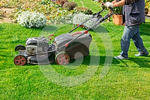 The gardener mows the lawn with a lawn mower