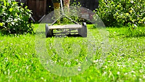 Gardener mows lawn with lawnmover