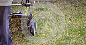 Gardener Operating Soil Aeration Machine on Grass Lawn