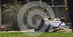 Gardener Operating Soil Aeration Machine on Grass Lawn