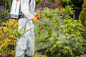 Gardener Performing Pesticide Application