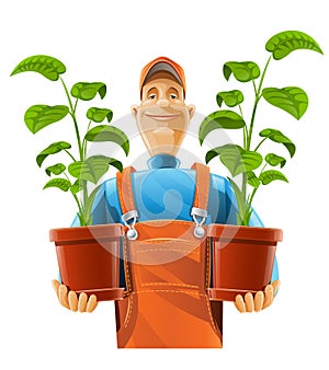 Gardener with plant in flowerpot