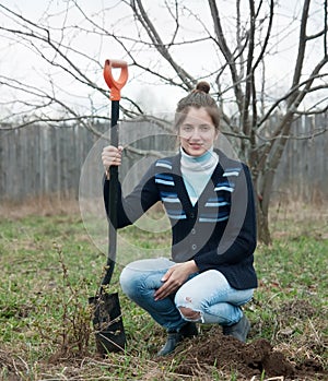 Gardener planting tree outdoor