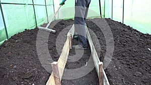 Gardener prepare soil bed with raker tool in hothouse. 4K