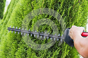 Gardener with a professional garden tools at work. planting of greenery