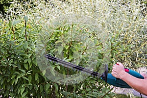 Gardener with a professional garden tools at work. planting of greenery.