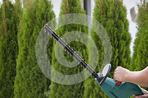 Gardener with a professional garden tools at work. planting of greenery