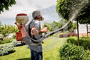 Gardener in protective mask and glasses spraying toxic pesticides trees