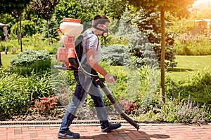 Gardener in protective mask and glasses spraying toxic pesticides trees