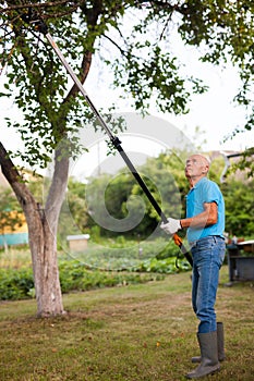Gardener with prunning tool - lopper cutter