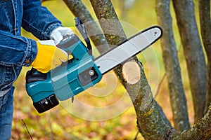 A gardener pruns trees with a lightweight cordless chain saw. Work in the autumn garden