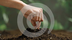 Gardener putting seeds in the ground. Man farmer hands planting sowing seed in soil preparation for spring season