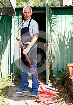 Gardener raking fall leaves