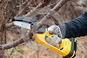 Gardener's hand cuts branch on a tree, with using small handheld lithium battery powered chainsaw. Season pruning.