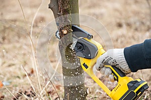 Gardener's hand cuts branch on a tree, with using small handheld lithium battery powered chainsaw. Season pruning.