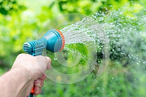 Gardener`s hand holds a hose with a sprayer and watered the plants in the garden