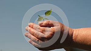 Gardener`s hands hold a green seedling in their palms against the sky. environmentally friendly sprout. young sprout in