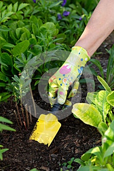 Gardener`s hands working with a yellow garden trowel digging up the soil on a flower bed, vertical