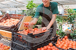 Gardener selling tomatoes and vegetables