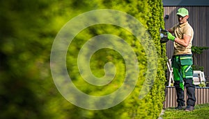 Gardener Shaping Green Wall of Thuja Using Hedge Trimmer