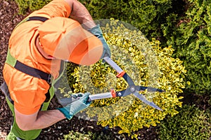 Gardener Shaping Plants