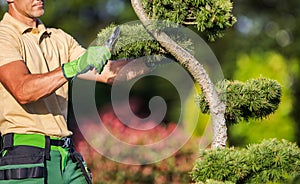 Gardener Shaping Plants Using Shrub Trimmer