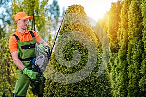 Gardener Shaping Tree photo