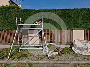 the gardener shortens the hedge. the hedge trimmer cuts green walls