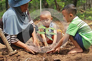Gardener with small child planting tree seeds in garden