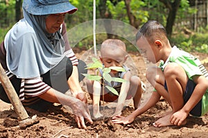 Gardener with small child planting tree seeds in garden