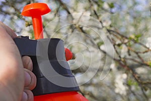 Gardener with spraying a blooming fruit tree against plant diseases and pests. Use hand sprayer with pesticides in the