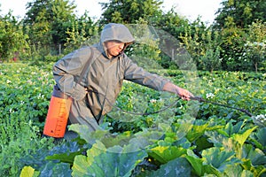 Gardener spraying potatoes