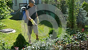 Gardener sprays rose flower bushes near tent on lawn by cordless sprayer