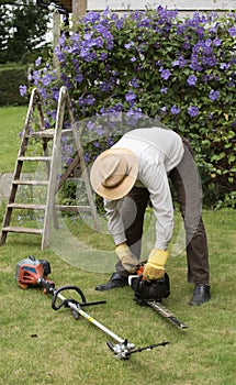 Gardener with tools to cut a hedge