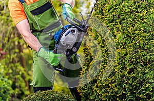 Gardener Topiary Job