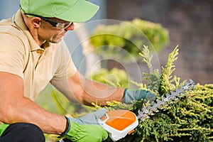 Gardener Trimming Decorative Tree Branches Using Cordless Grass Shears