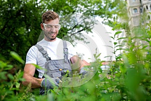 Gardener trimming the outgrown bushes