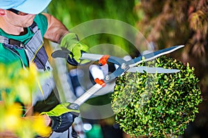 Gardener Trimming Plants