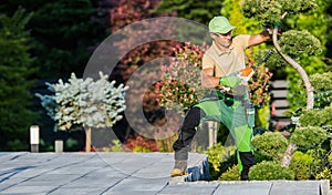 Gardener Trimming and Shaping Decorative Plants